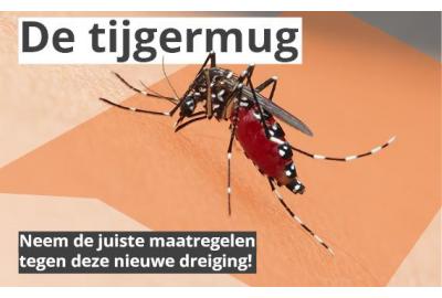 Tijgermuggen: Neem de juiste maatregelen tegen deze nieuwe dreiging