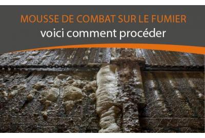 Combattre la mousse sur le fumier : voici comment procéder