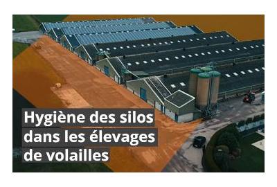 Les avantages de l'hygiène des silos pour les élevages de volailles et la puissance de Fumagri HA