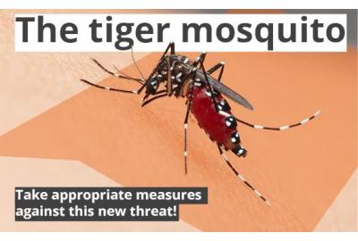 Tiger Mosquitoes: take the right measures against this new threat