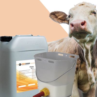 PROMOTION PACKAGE: 2 X Vitulox + 1 Calf feeding bucket FOR FREE